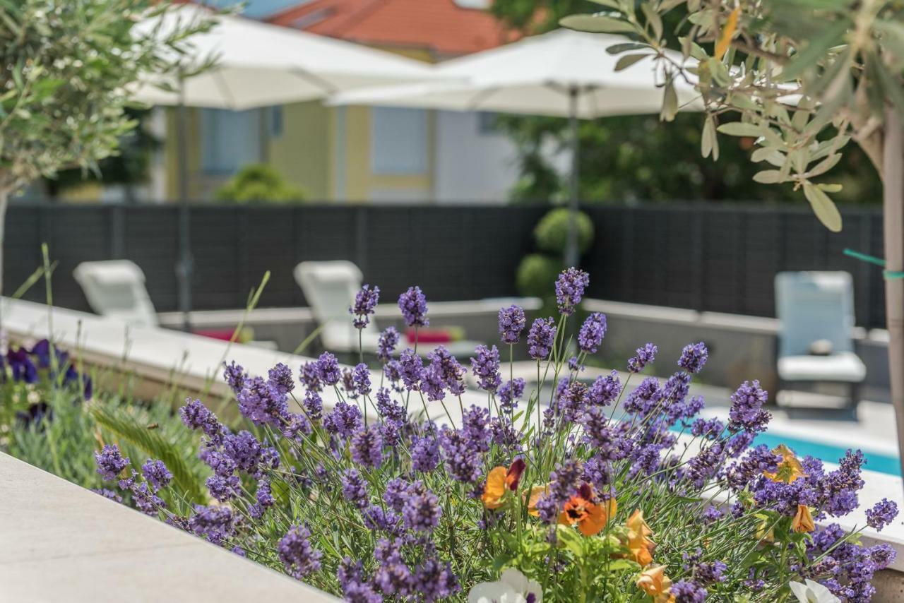 זאדאר Villa Franica מראה חיצוני תמונה